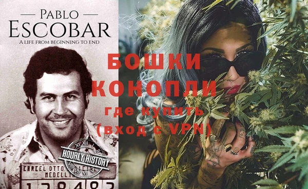 прущие грибы Болохово
