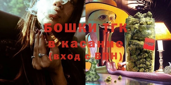 индика Приозерск