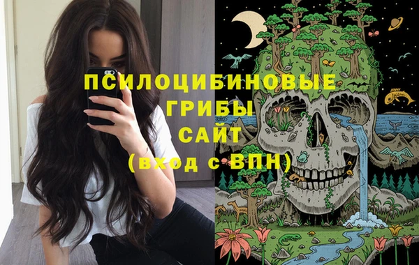 мет Болотное