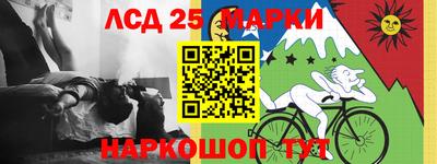 индика Славгород