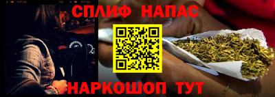 индика Славгород